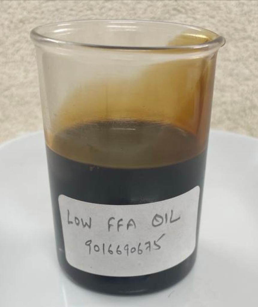 LOW FFA OIL